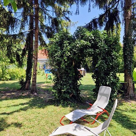 Romantic Villa - Pápa Exteriér fotografie